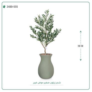 صورة مصغرة 3
