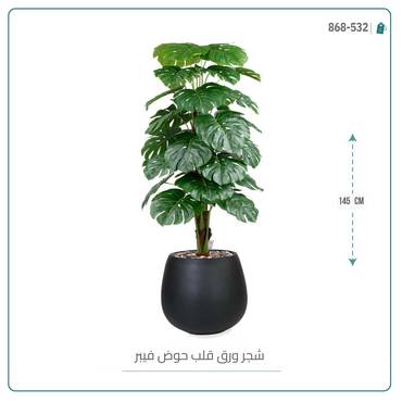 صورة مصغرة 2