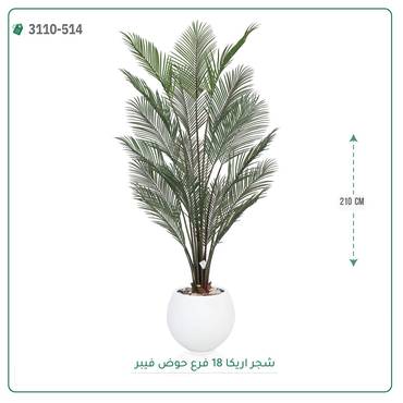 صورة مصغرة 3