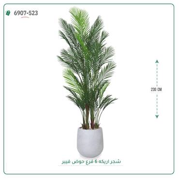 صورة مصغرة 7