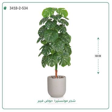 صورة مصغرة 4
