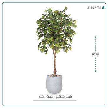 صورة مصغرة 3