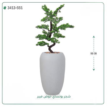 صورة مصغرة 9