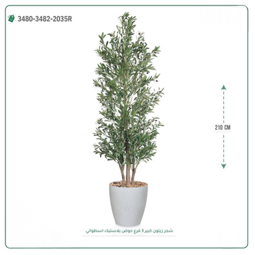 صورة مصغرة 1
