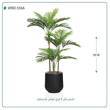 صورة مصغرة 3