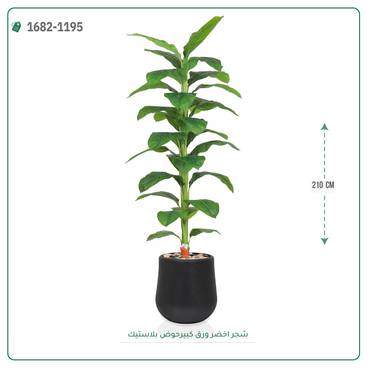 صورة مصغرة 2