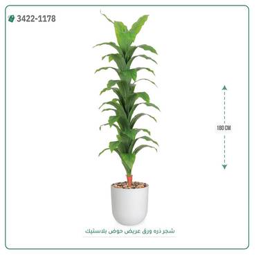 صورة مصغرة 1