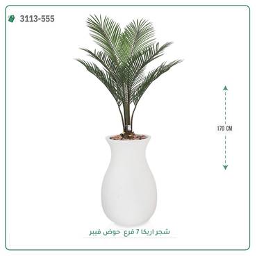 صورة مصغرة 6