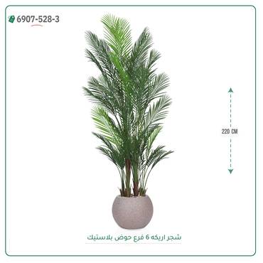 صورة مصغرة 10
