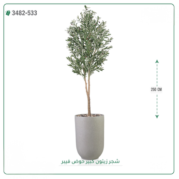 صورة مصغرة 5