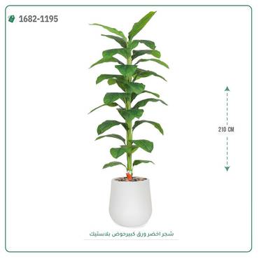 صورة مصغرة 1