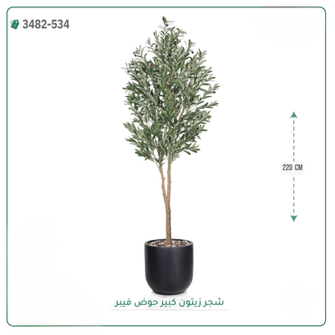 صورة مصغرة 4