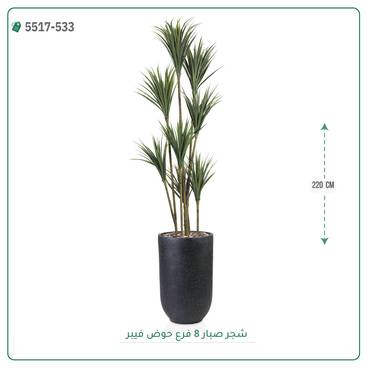 صورة مصغرة 4