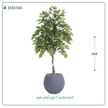 صورة مصغرة 5