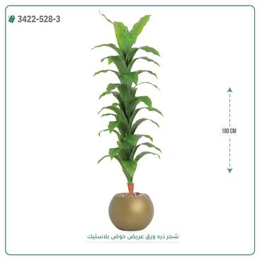 صورة مصغرة 8