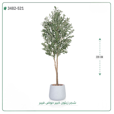 صورة مصغرة 2