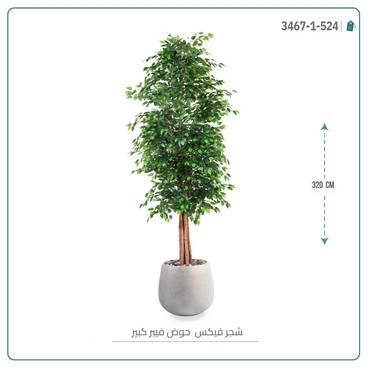 صورة مصغرة 3