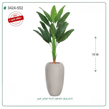 صورة مصغرة 2