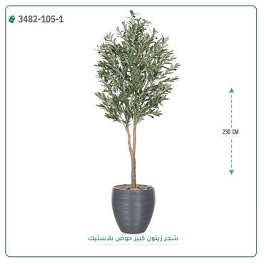 صورة مصغرة 5