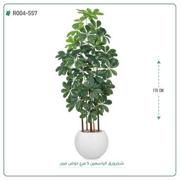 صورة مصغرة 4