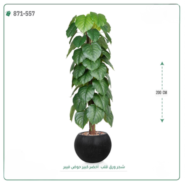 صورة مصغرة 4