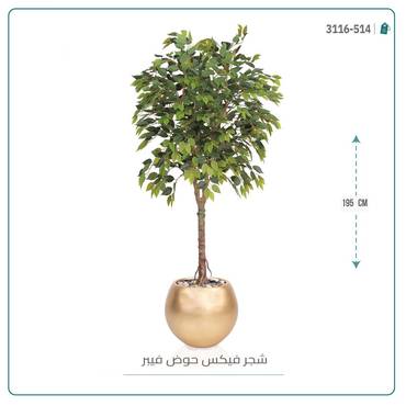 صورة مصغرة 8