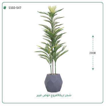 صورة مصغرة 2