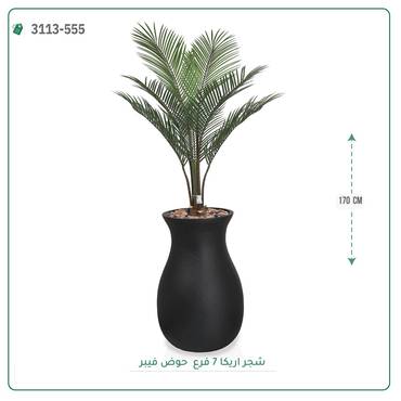 صورة مصغرة 3