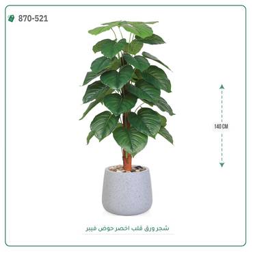 صورة مصغرة 3