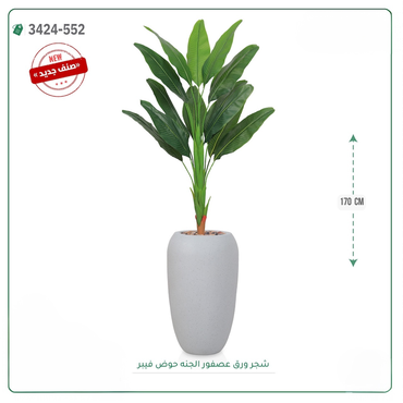 صورة مصغرة 6
