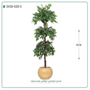 صورة مصغرة 9