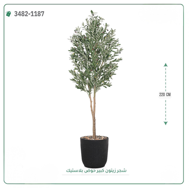 صورة مصغرة 2