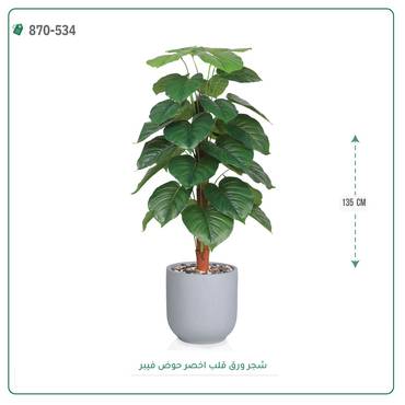 صورة مصغرة 5