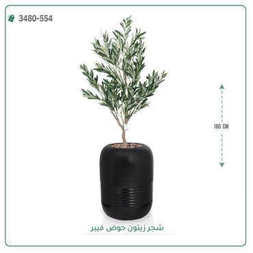 صورة مصغرة 2