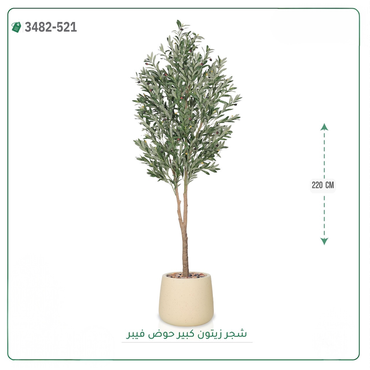 صورة مصغرة 5