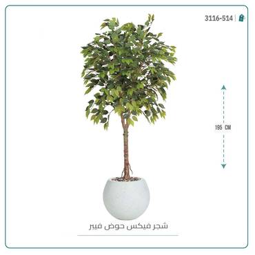 صورة مصغرة 2