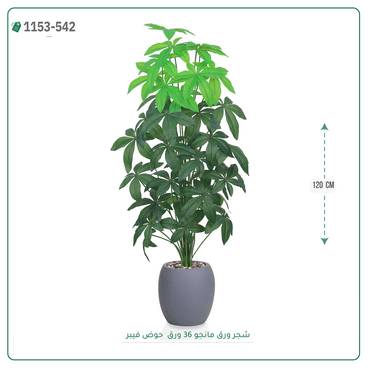 صورة مصغرة 2
