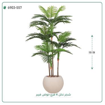صورة مصغرة 7