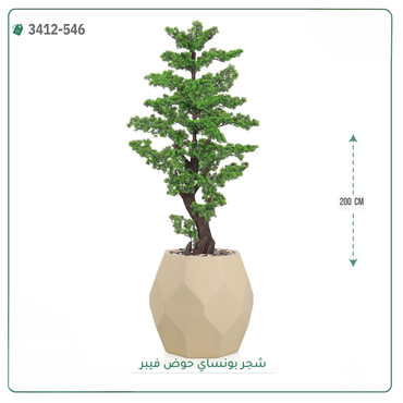 صورة مصغرة 4