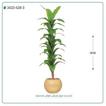 صورة مصغرة 7