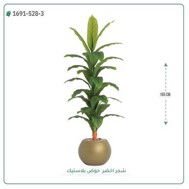 صورة مصغرة 1