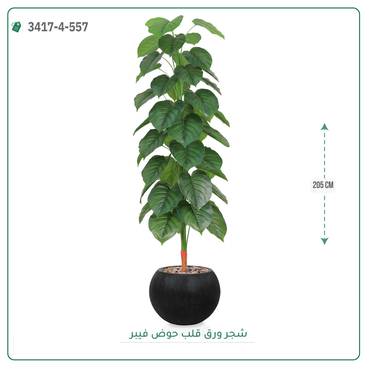 صورة مصغرة 6