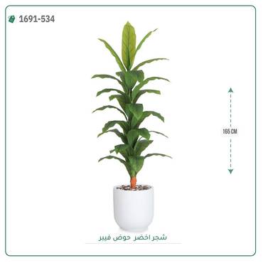 صورة مصغرة 1