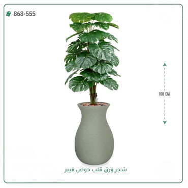 صورة مصغرة 4