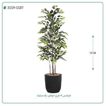 صورة مصغرة 3