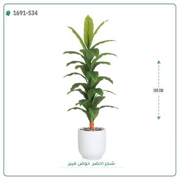 صورة مصغرة 7