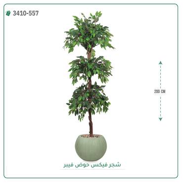 صورة مصغرة 8