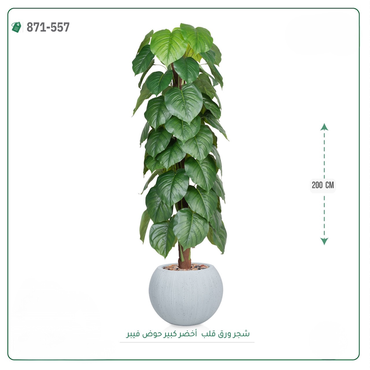 صورة مصغرة 3