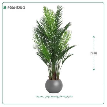 صورة مصغرة 5