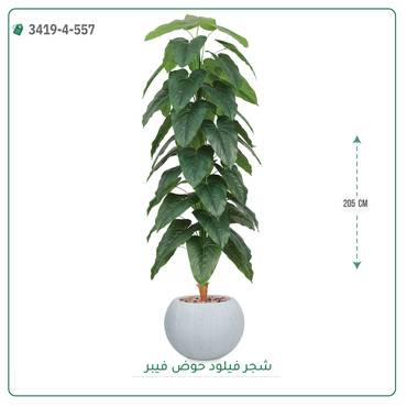 صورة مصغرة 4